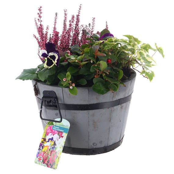 Planted Grey Wooden Half Barrel Seasonal Bedding - Autumn