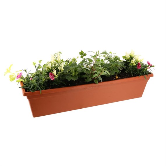 Planted Leonardo Trough 30 Inches Outdoor Bedding Container - Summer