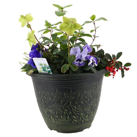 Planted Linden 11 Inch Outdoor Bedding Container - Spring