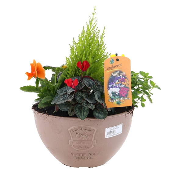 Planted Loire Petite Olive Bowl Outdoor Bedding Container - Autumn