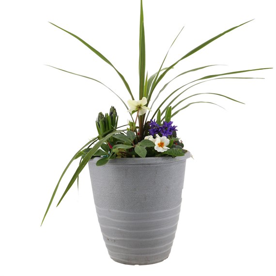 Planted Mariella 12 Inches Outdoor Bedding Container - Spring