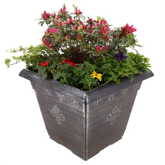 Planted Medley Sqaure 14 Inches Outdoor Bedding Container - Summer