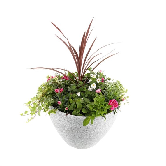 Planted Pebbledash Pot 40cm Outdoor Bedding Container Summer