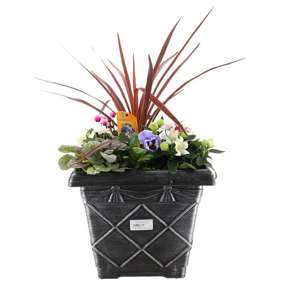 Planted Tuscan Decorative Square 31cm Outdoor Bedding Container - Autumn