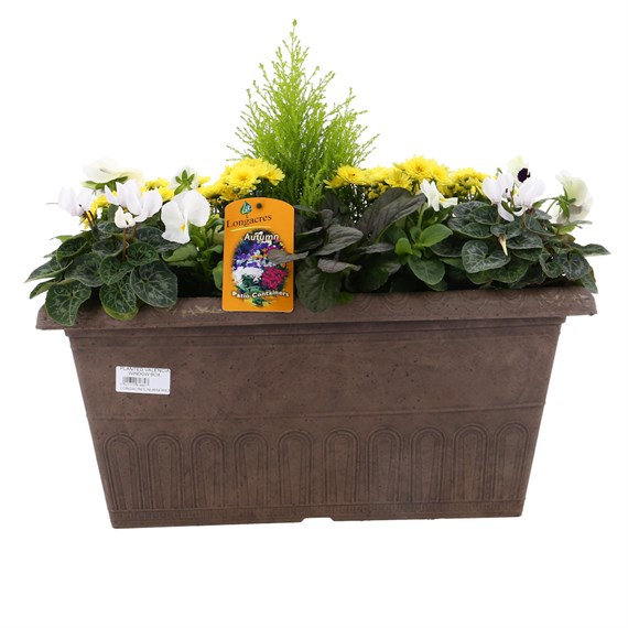 Planted Valencia Seasonal Outdoor Window Box Bedding Container - Autumn