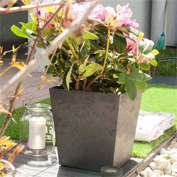 Primeur Sonata Planter 33cm Pewter (P00017895)