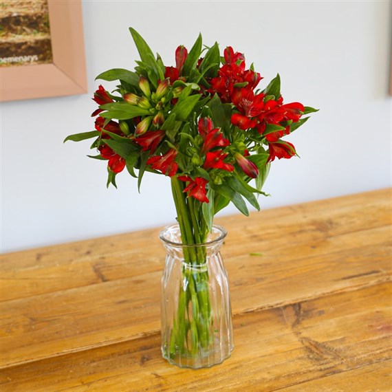 Red Alstromeria Letter Box Flowers 