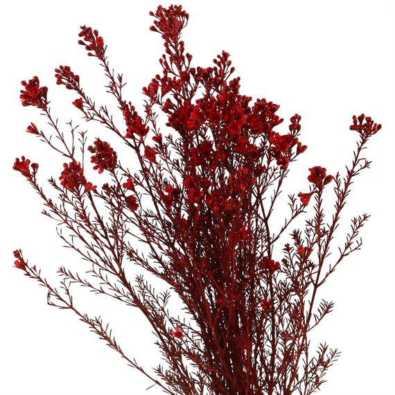 Red Sprayed Glitter Wax Flower (x5 Individual Stems)