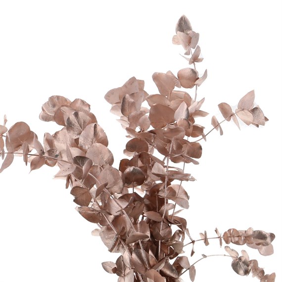 Rose Gold Sprayed Eucalyptus Cinerea (x8 Individual Stems)