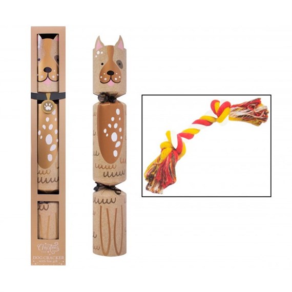 RSW Novelty Gold Dog Pet Christmas Cracker - 14 Inch (XM6231)
