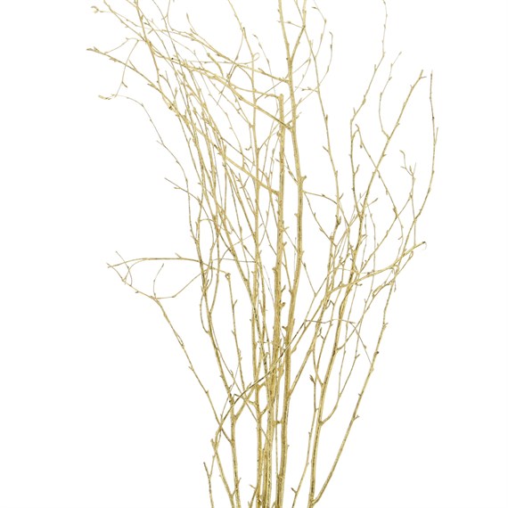 Salix Twigs Sprayed (x5 Individual Stems) - Gold