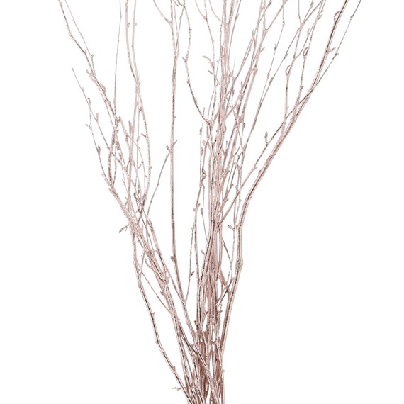 Salix Twigs Sprayed (x5 Individual Stems) - Rose Gold