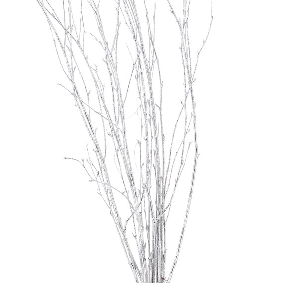 Salix Twigs Sprayed (x5 Individual Stems) - Silver
