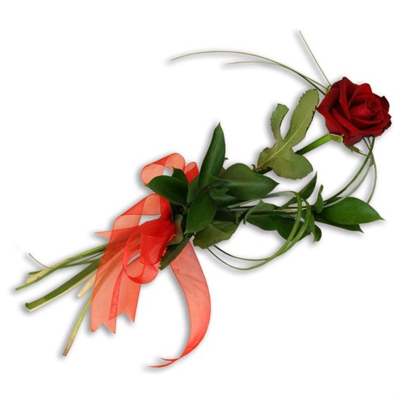 With Sympathy Flowers - Single Red Rose