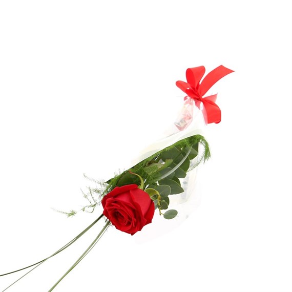 A Single Long Stem Red Rose Valentine's Day