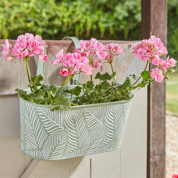 Smart Garden 12Inch Fence & Balcony Hanging Planter Fern Sage (6030367)
