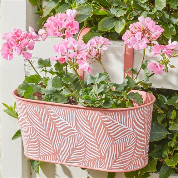 Smart Garden 12Inch Fence & Balcony Hanging Planter Fern Terracotta (6030368)