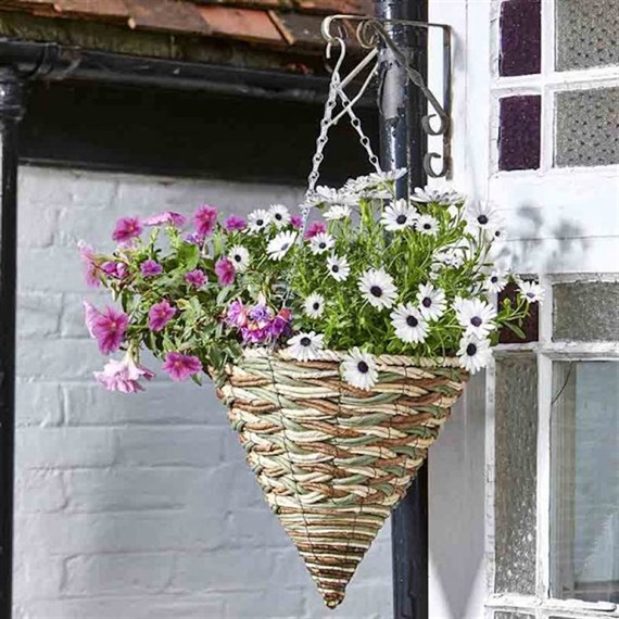 Smart Garden 14 Inch Trinity Hanging Cone (6020116)