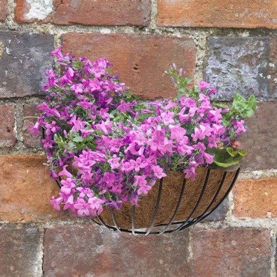 Smart Garden 16Inch Smart Wall Basket (6030090)