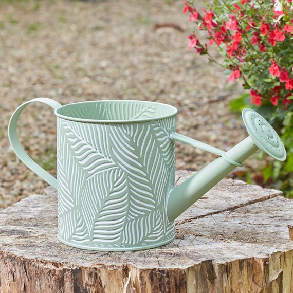 Smart Garden 37cm Planter Watering Can Fern Sage (6030363)