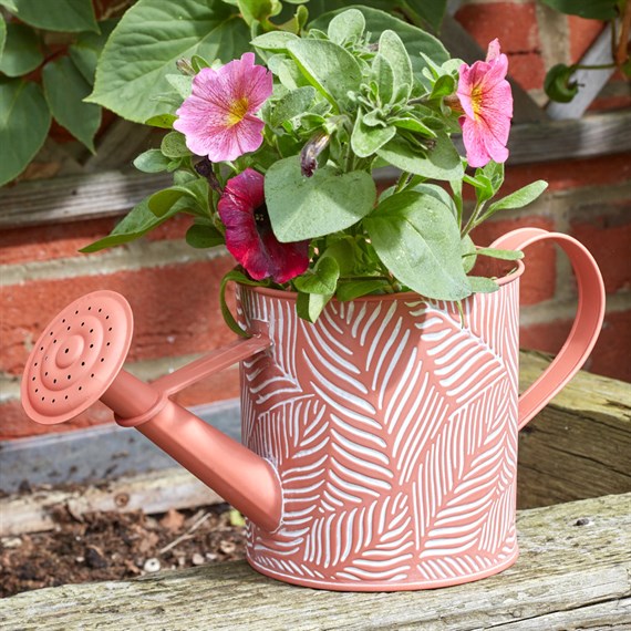 Smart Garden 37cm Planter Watering Can Fern Terracotta (6030364)