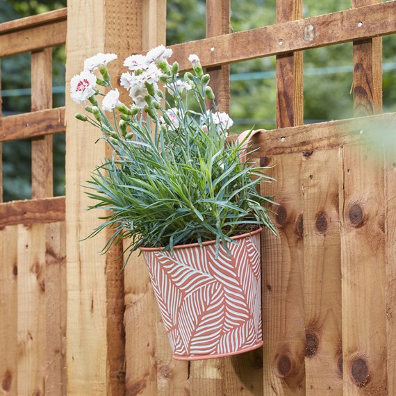 Smart Garden 6Inch Fence & Balcony Hanging Pot Fern Terracotta (6030366)