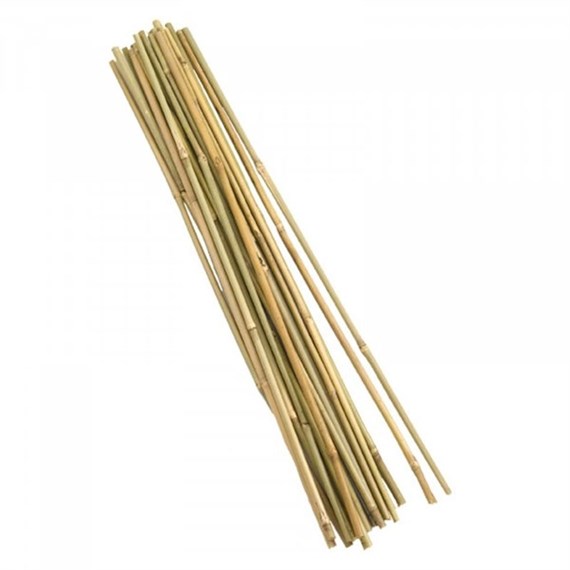 Smart Garden Bamboo Canes 120 cm Bundle of 20 (4025042)