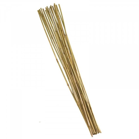Smart Garden Bamboo Canes - Extra Thick 240 cm Bundle of 10 (4025046)