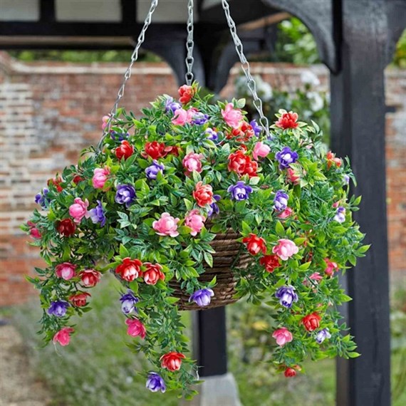 Smart Garden Bizzie Lizzie Hanging Basket (5040053)