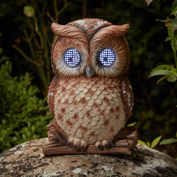 Smart Garden Blinkin Owl Solar Powered Garden Ornament Light (1020042)