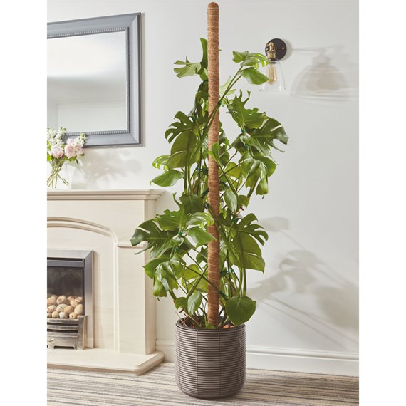 Smart Garden CocoMoss Pole Houseplant Support 150cm (4070093)