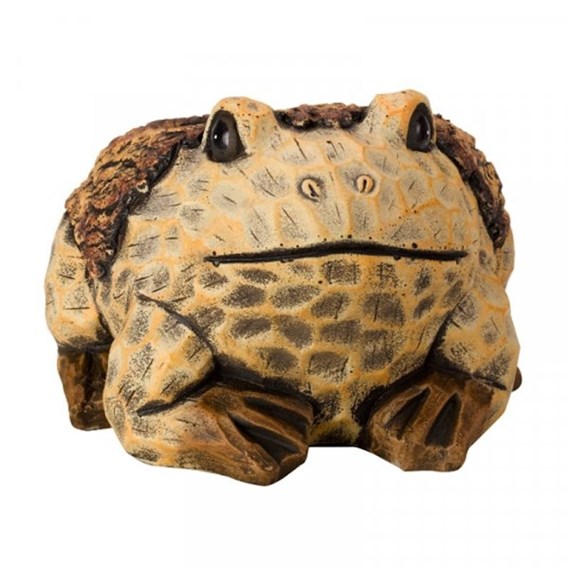 Smart Garden Frog Planter (5071006)