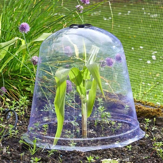 Smart Garden Garden Jumbo Bell Cloche 3-PK (6513010)