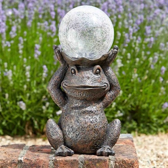 Smart Garden Gazing Frog Bright Eyes (1020910)