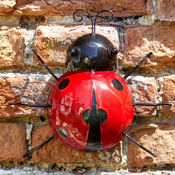 Smart Garden Ladybird Garden Wall Ornament (5032002)