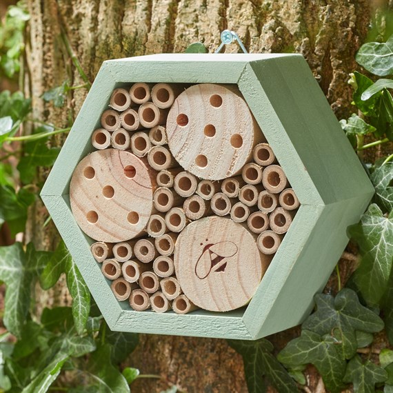 Smart Garden Mason Bee HexBox insect Hotel Natural Habitat (7523003)