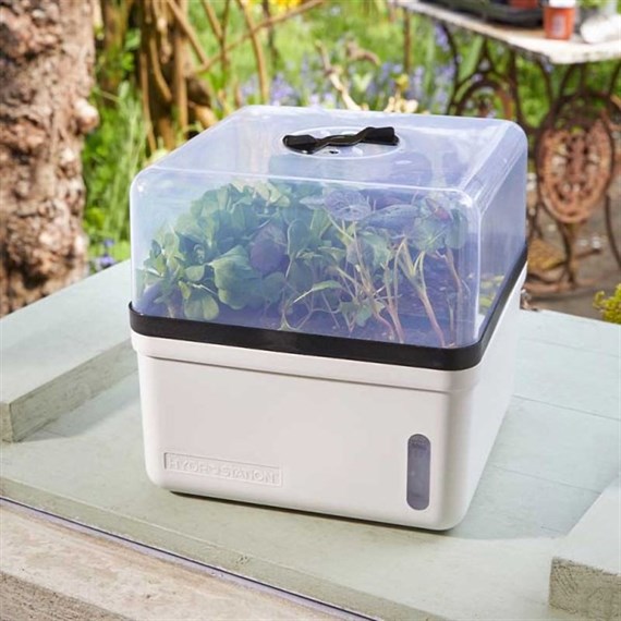 Smart Garden Perfect Propagator (6515000)