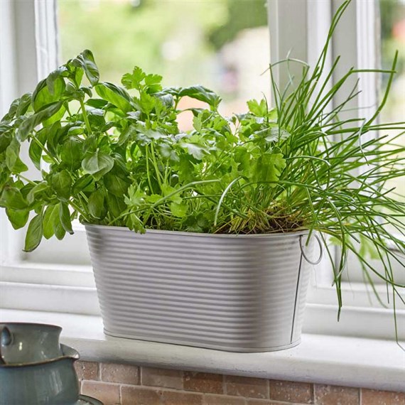 Smart Garden Ribbed Metal 11 inch Planter - Ivory (6030335)