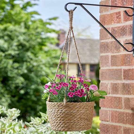 Smart Garden The Weaver Hanging Basket (6020193)