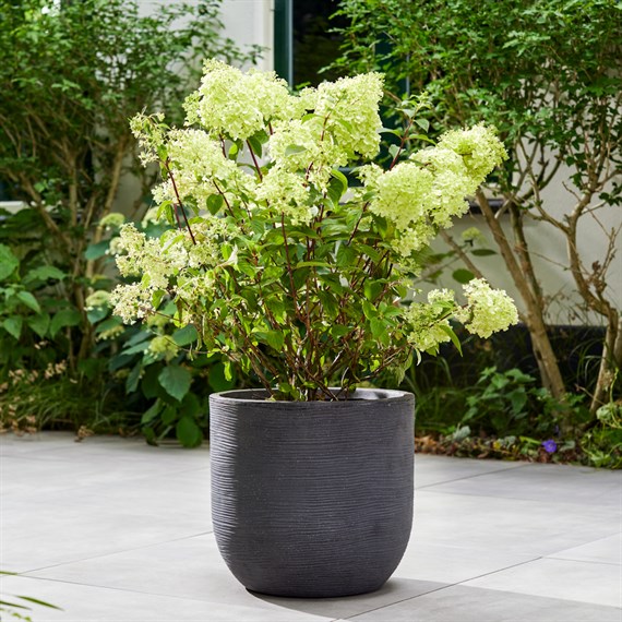 Stewart Garden 44cm Arava Pot - Millstone Grey (261881)