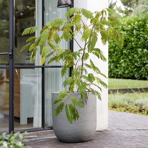Stewart Garden 56cm Arava Pot - Alpine Grey (261882)