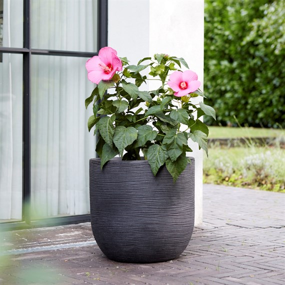 Stewart Garden 56cm Arava Pot - Millstone Grey (261883)