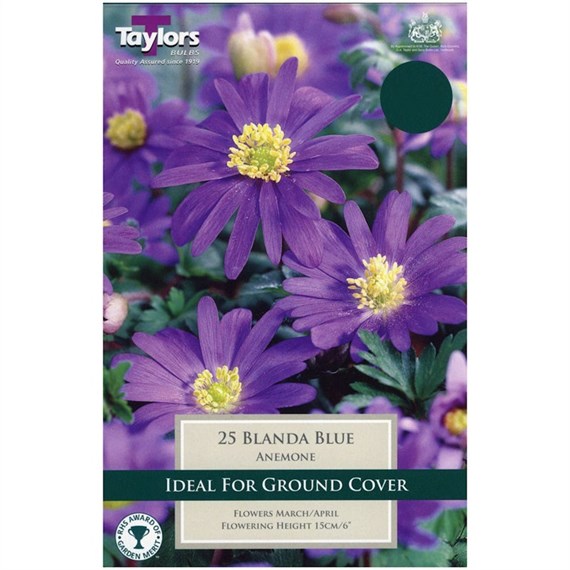 Taylors Bulbs Anemone Blanda Blue - Pack of 25 (TP710)