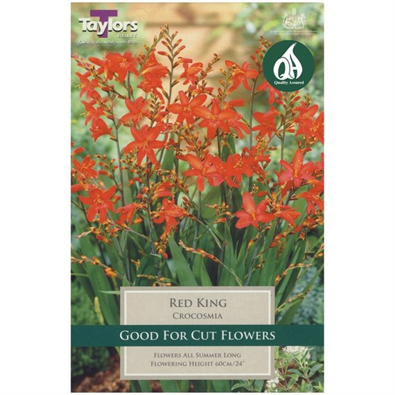 Taylors Bulbs Crocosmia Red King (10 Pack) (TS668)