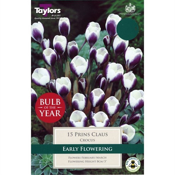 Taylors Bulbs Crocus Prins Claus - Pack of 10 (TP673)
