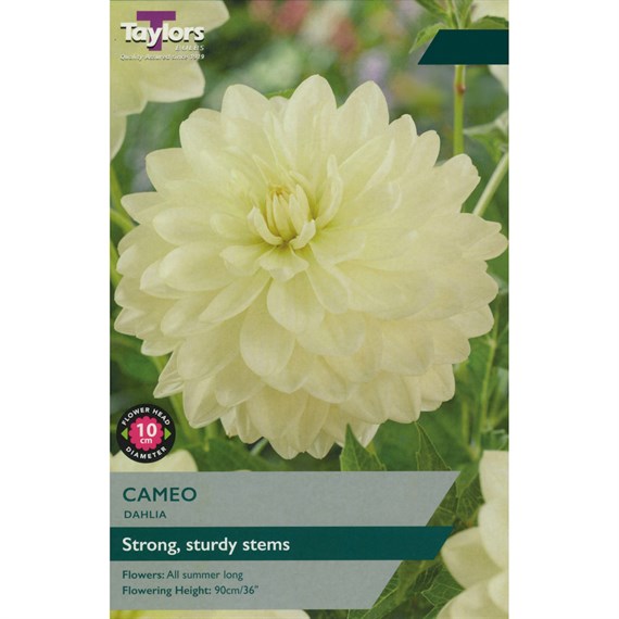 Taylors Bulbs Dahlia Cameo (Single Pack) (TS389)