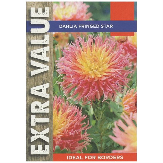 Taylors Bulbs Dahlia Fringed Star (3 Pack) (ESV550)