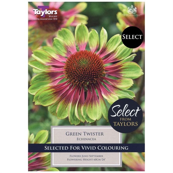 Taylors Bulbs Echinacea Green Twister (2 Pack) (SSE168)