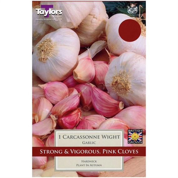 Taylors Bulbs Garlic Carcassonne Wight - Single (AVEG14)