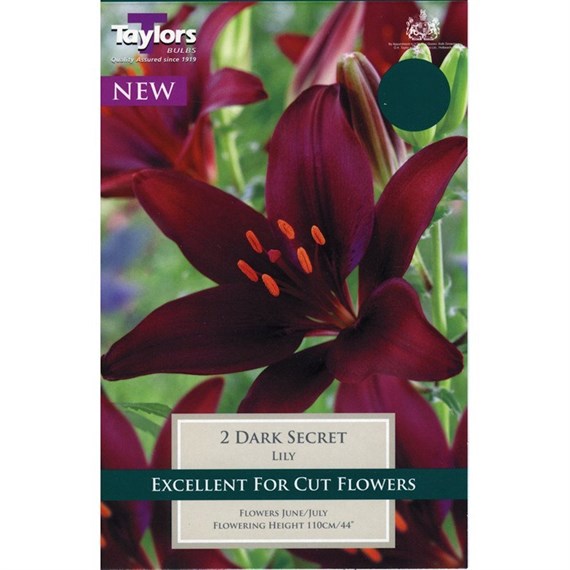 Taylors Bulbs Lily Dark Secret (3 Pack) (TS513)